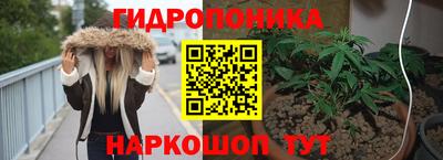 твердый Камышлов
