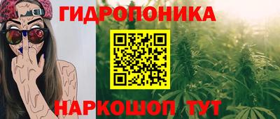 твердый Камышлов